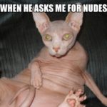 Foto del perfil de cerena